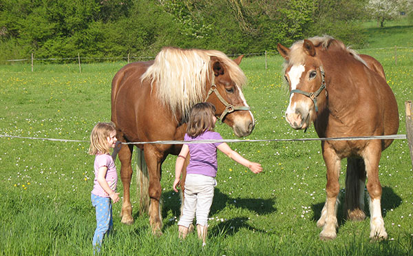 Kinder sind gerne gesehen